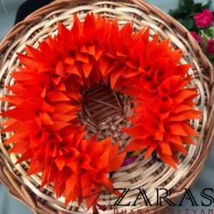 Bharatanatyam dance cloth flower