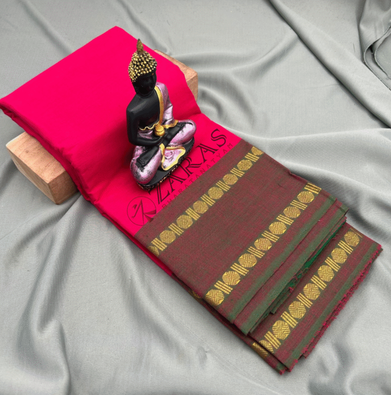 Bharatanatyam Dance Practice saree
