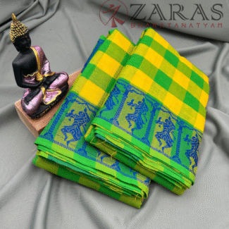 Bharatanatyam Dance Practice saree