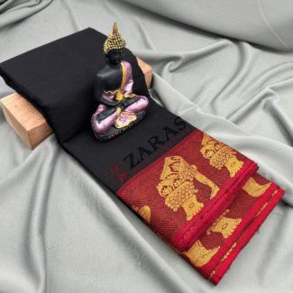 Bharatanatyam Dance Practice saree