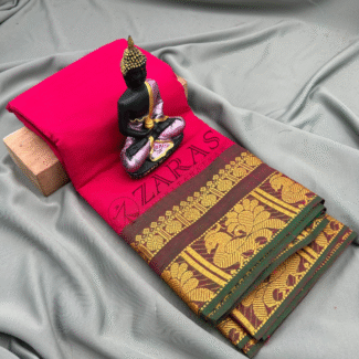 Bharatanatyam Dance Practice saree