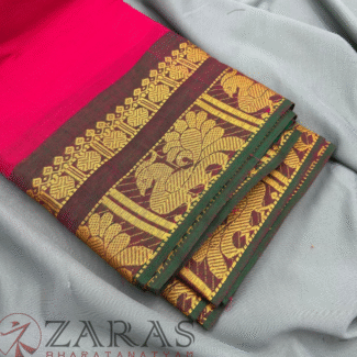 Bharatanatyam Dance Practice saree