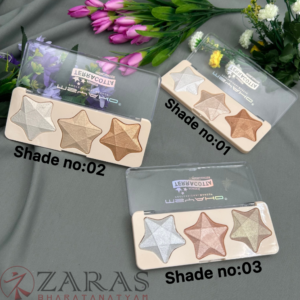 Bharatanatyam dance makeup Eyeshadow Palette
