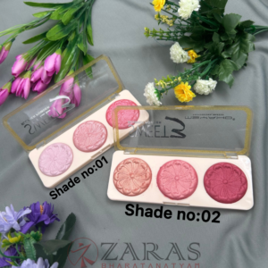 Bharatanatyam dance makeup Eyeshadow Palette