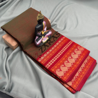Bharatanatyam Dance Practice saree