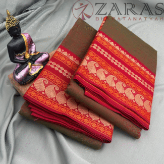 Bharatanatyam Dance Practice saree