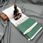 Bharatanatyam Dance Practice Saree