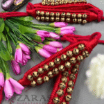 bharatanatyam dance salangai