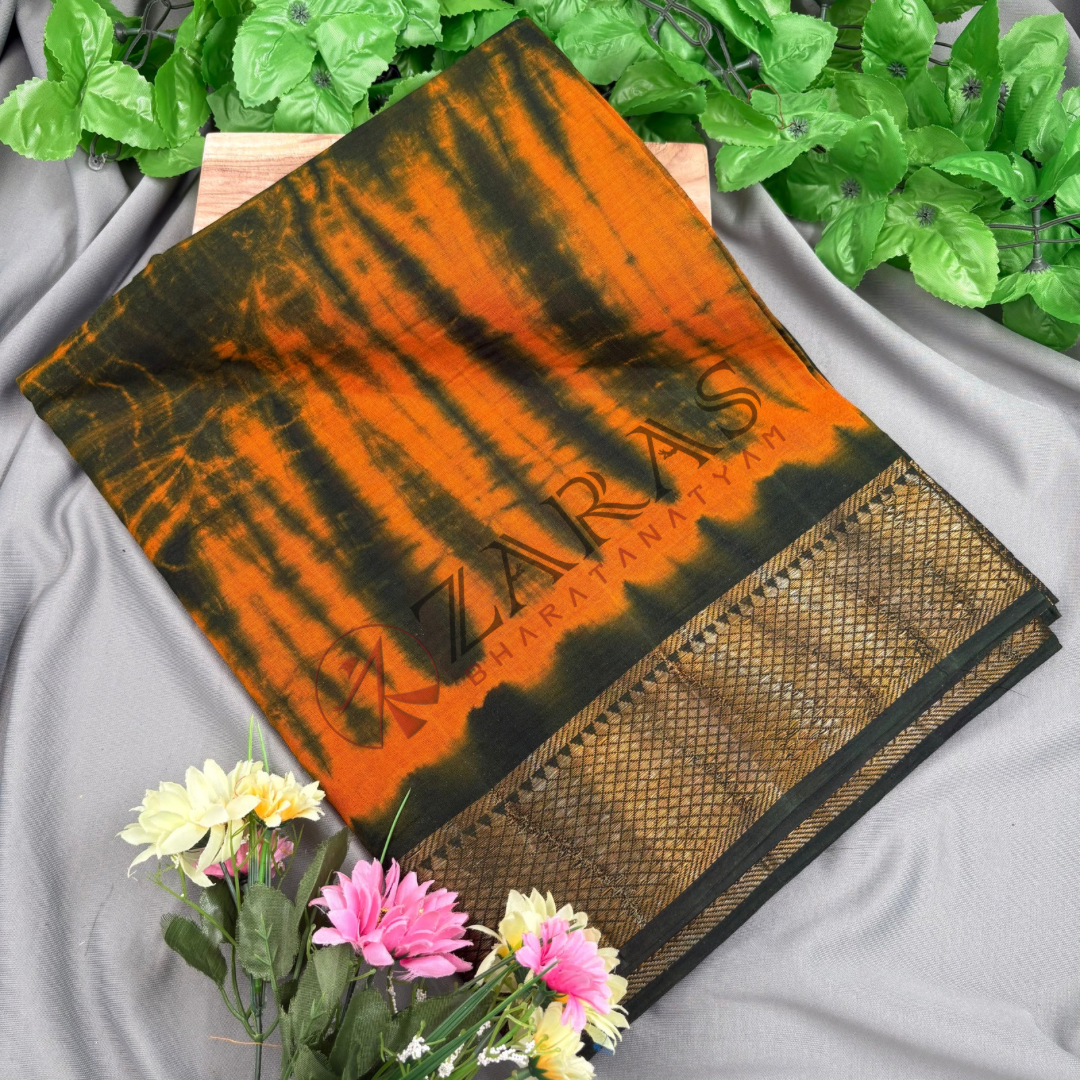 Bharatanatyam Dance Practice saree