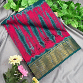 Bharatanatyam Dance Practice saree
