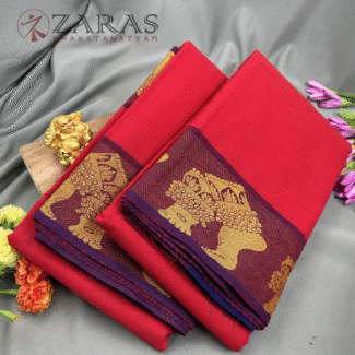 Bharatanatyam Dance Practice Saree