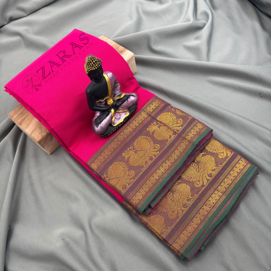 Bharatanatyam Dance Practice saree