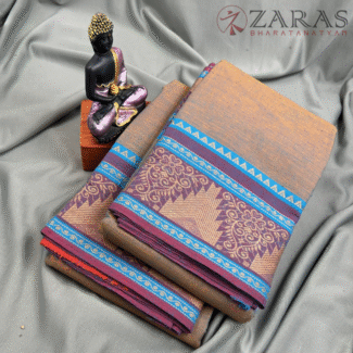 Bharatanatyam Dance Practice saree