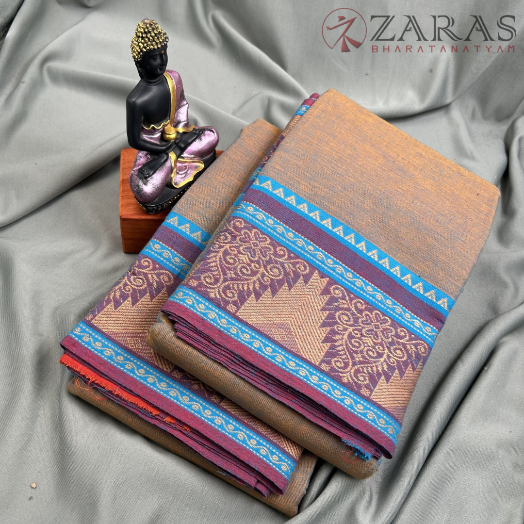 Bharatanatyam Dance Practice saree