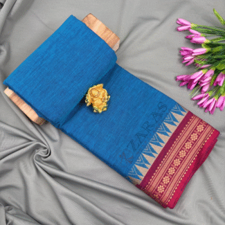 Bharatanatyam Dance Practice Saree